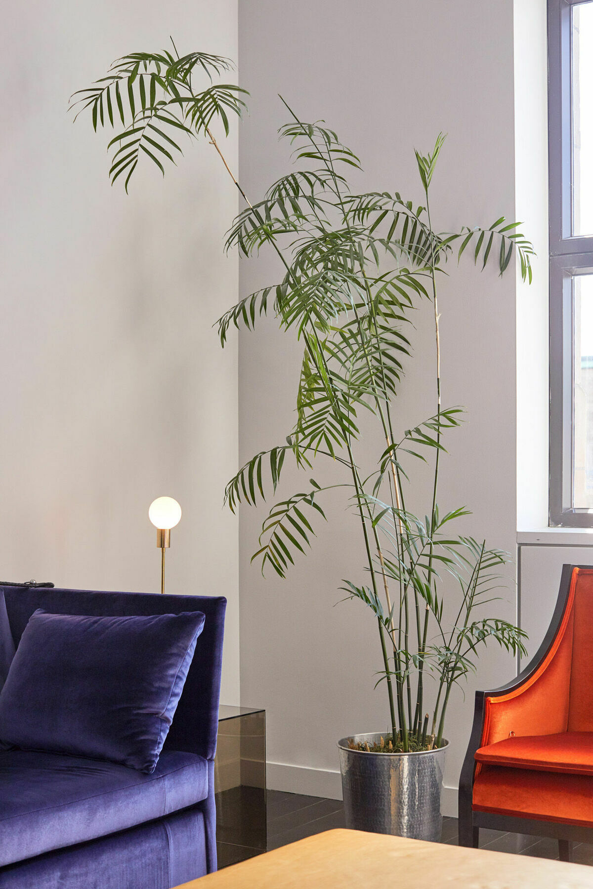 Hotel St Paul, Montreal, A Member Of Design Hotels Interiér fotografie